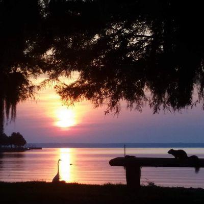 Profile Picture of Janet D. Merritt (@janet1merritt9) on Twitter