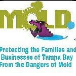 Profile Picture of David Koerner (@tampabaymold) on Instagram
