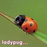 Profile Picture of Stefanie Hoover (@stefanie.hoover) on Instagram