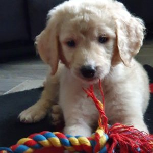 Profile Picture of Ben Morris (@BenMorr33522498) on Twitter