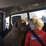 Joseph Lewicki - Instagram Profile Picture of Joseph Lewicki (@stingo.l) on Instagram