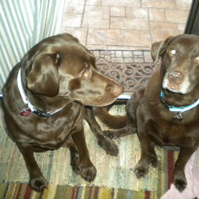 Profile Picture of gretchen edwards (@gretchengotcha) on Twitter