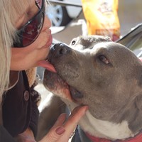 Profile Picture of Debra Reeves (@debra-reeves-12) on Quora