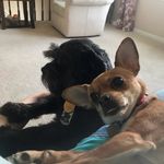 Profile Picture of Natasha Hinton (@naty.hinton.2018) on Instagram