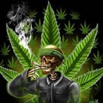 Profile Picture of Peter Jacobs (@Peter-Jacobs) on Facebook