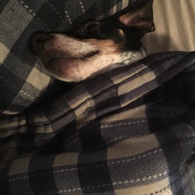 Profile Picture of STEVEN KRUG (@STEVENKRUG8) on Twitter