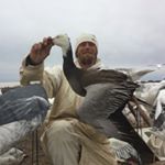 Profile Picture of Dusty Stewart (@dustyroadds) on Instagram