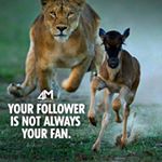 Profile Picture of Lucas Marty (@lucas_marty__) on Instagram