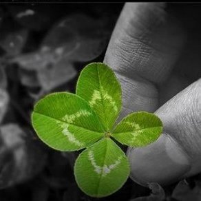 Profile Picture of Zyp Sierra (@Zyp_sierra) on Twitter