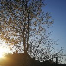 Lee - Tiktok Profile Picture of Lee (@rayleebarnwell) on Tiktok