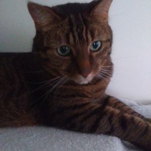 Profile Picture of Monique Roux (@moniqueroux5) on Twitter