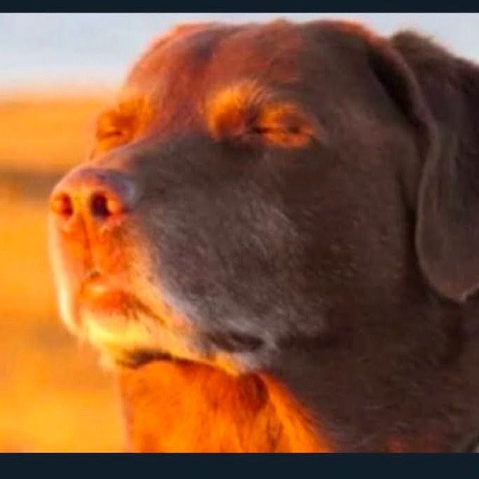 Profile Picture of Ryan (@_ryan_hicks) on Tiktok