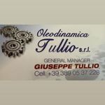 Profile Picture of Oleodinamica Tullio S.r.l (@oleodinamicatullio) on Instagram