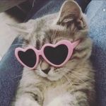 Profile Picture of Jazmyn Smith (@jazmynsmith) on Instagram