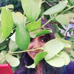 Profile Picture of ◦•●◉✿ 𝓐𝓼𝓱𝓪 𝓚𝓾𝓽𝓽𝔂 ✿◉●•◦ (@ashashaji777) on Instagram