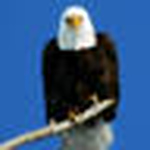 Profile Picture of Doug Sims (@Dougspix) on Flickr