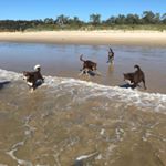 Profile Picture of Wayne Sharkey (@wayne.a.sharkey) on Instagram