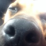 Profile Picture of Travis Corriveau (@corriveau.travis) on Instagram