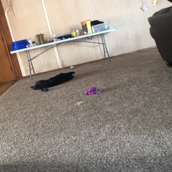 Profile Picture of Cheng Xiong (@chengwaxiong) on Poshmark