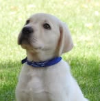 Blake Rickel - Facebook Profile Picture of Blake Rickel (@sam.drubs) on Facebook