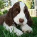 Profile Picture of Brian Wink (@brian.wink.104) on Facebook