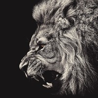 Profile Picture of Jonathan Sturgill (@jonathan-sturgill-1) on Quora
