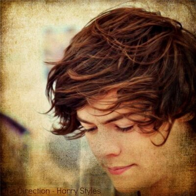 Harry EL!F StyLes - Twitter Profile Picture of Harry EL!F StyLes (@GLenGzLer5) on Twitter