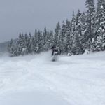 Profile Picture of Patrick Loyer (@ti_pat) on Instagram