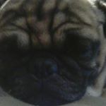 Profile Picture of Rowyn Dubenezic (@dubenezicrowyn) on Instagram