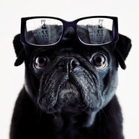 Profile Picture of Marcus Frye (@marcus-frye-2) on Quora