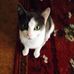 Profile Picture of Jeffery Spring (@jeffery.spring.98) on Facebook