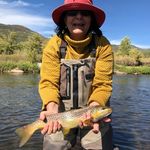 Profile Picture of Lori Keeter (@keeter.glk) on Instagram