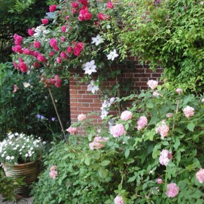 Katrin Klewitz - Twitter Profile Picture of Katrin Klewitz (@k_klewitz) on Twitter