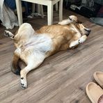 Profile Picture of Dave Sherosky (@Dave-Sherosky) on Facebook