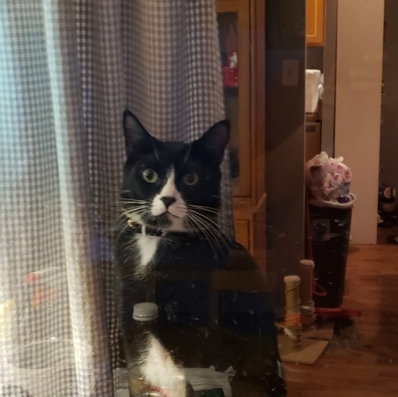 Profile Picture of Lee Bailey (@tombstone181) on Poshmark