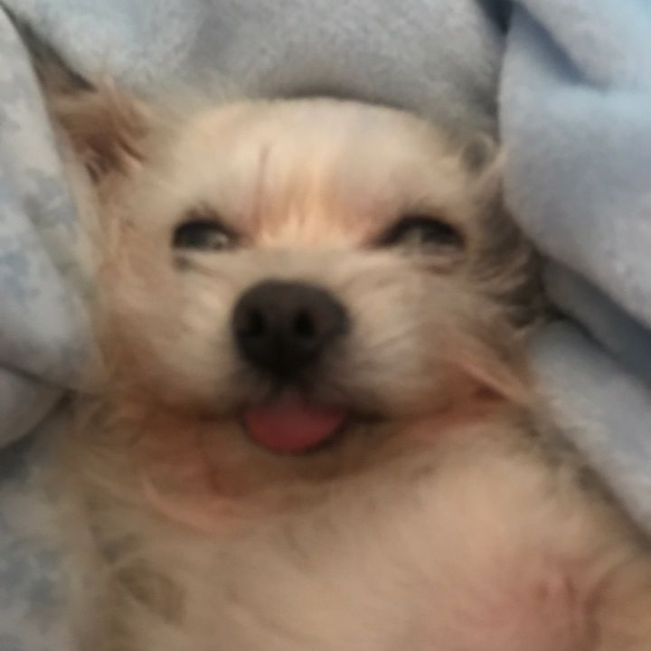 Profile Picture of Jenny Hopper (@@jenlee4549) on Tiktok