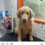 Profile Picture of Mario Inostroza (@marioinostroza4869) on Youtube