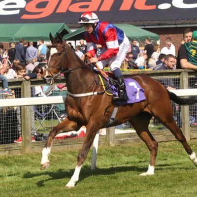 Profile Picture of Jon Lacey (@JonLacey17) on Twitter