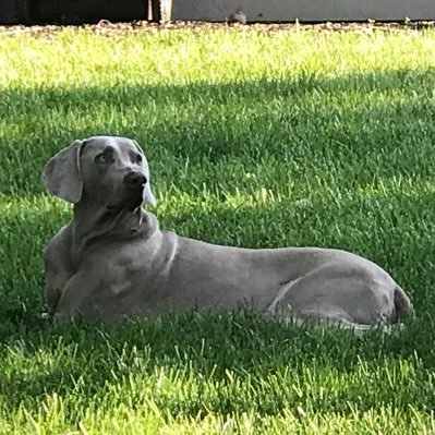 Profile Picture of Chris Dobbins (@ce_dobbins) on Twitter