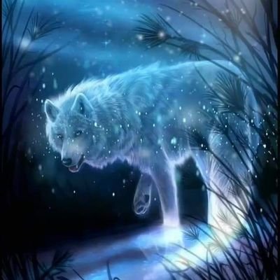 Profile Picture of Richard Javier Cruz Pazmiño. (@RJavierCruzP) on Twitter