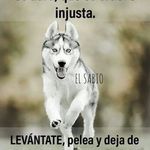 Profile Picture of Che Resendiz Lopez (@cheresendizlopez) on Instagram