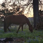 Profile Picture of Hector Arredondo (@arredondo3926) on Instagram