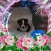 Profile Picture of Angie Douglas (@angie.douglas.9) on Facebook