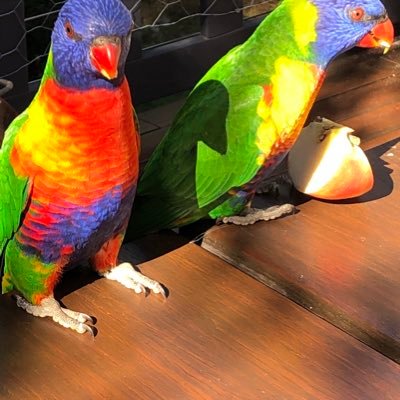 Profile Picture of John Stephen Oliver Stokes (@johnstephenoli1) on Twitter