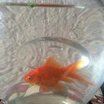 Profile Picture of julia_kelleyz (@julia_kelleyz) on Instagram