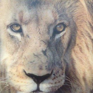 Profile Picture of Michael Rulo (@michael.rulo.37) on Facebook