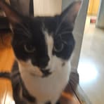 Profile Picture of Krew Hansen (@Krew-Hansen) on Facebook