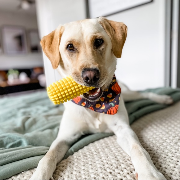 Profile Picture of Lindsay Ramhoff (@blueyelinds) on Poshmark