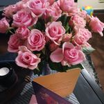 Profile Picture of Derick Lee Capes (@derickcapes) on Instagram