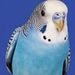 Profile Picture of Madeline Cahillane (@23mcahillane) on Pinterest